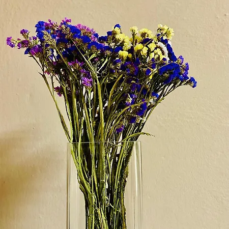 Midtown Cozy アパート *