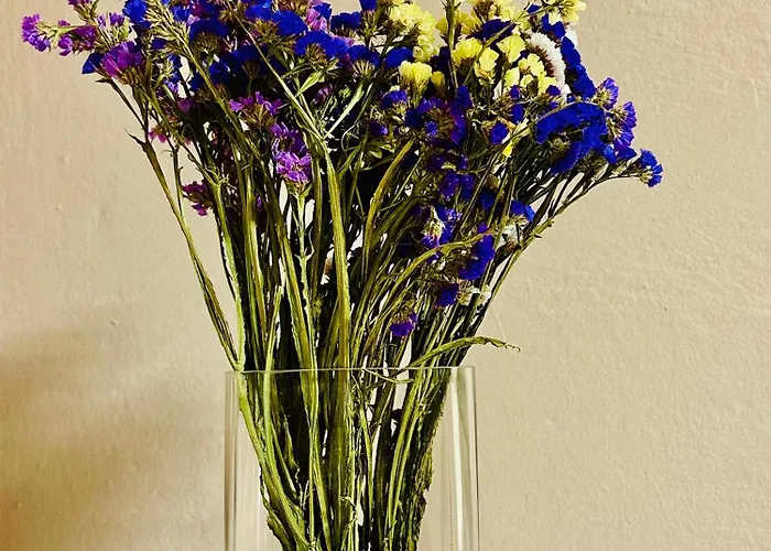 Midtown Cozy 아파트 *